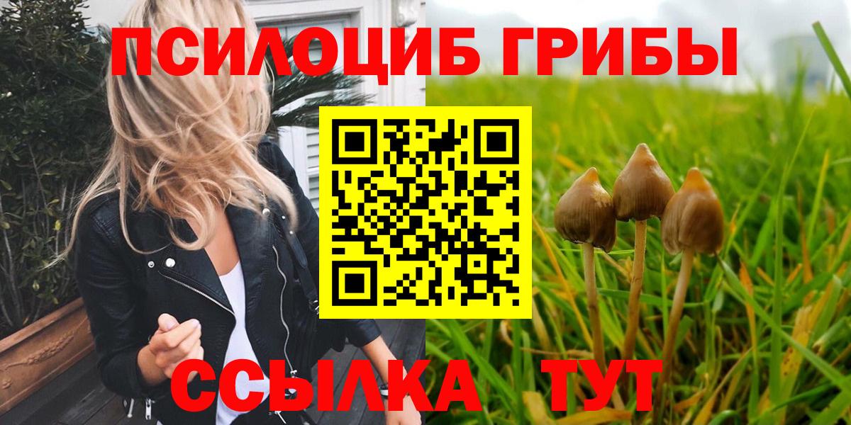 Набережные Челны  Псилоцибиновые грибы Psilocybe  хочу   Вход с VPN 